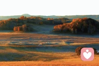 身处旷野任何地方都是前方配图