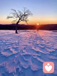 浪漫的灵魂从不向平淡的生活妥协配图