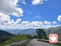 独自撑伞的日子 记得大步往前走配图