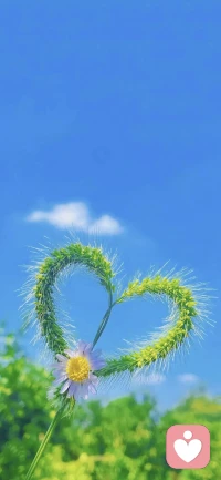 早起的意义在于拥有午睡~配图