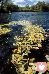 接住生活里的小美好，把温柔和勇气都揣进兜里，前路漫漫，亦有可期。配图