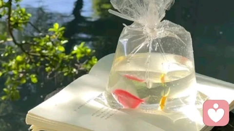 不配得感~甩掉它！