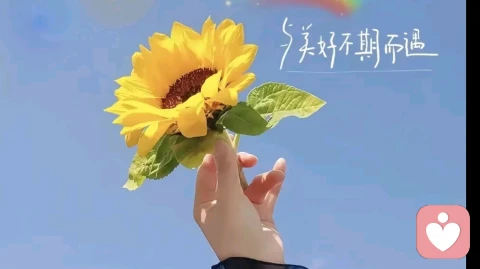 人与人之间的价值交换