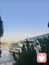 阳光正好，风也温柔，今天的日子值得好好接住~配图