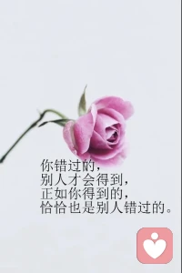 ᙏ̤̫͚ ：ʜɪ. ◡̈⃝ 光是遇见 🍃
ʚ🧸ྀིɞ 就已经很美好了配图