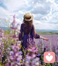  所有的奔波，都是为了更好的归途配图