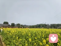 祝你那边风和日丽，我这边风景也不错