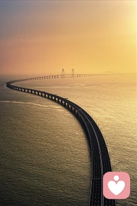 学会以简单对复杂，以纯净对喧嚣，享受蓝天白云的惬意，欣赏一花一草的灵动配图