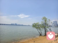 💛在未知的途中遇见未知的自己配图