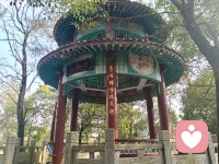 我记得许多遥远细微的事。

幼儿园小女孩的故事，小学转学生的害羞，初中室友深夜的倾诉，高中走廊里一闪而过的侧脸，大学时火锅宴的温暖，初出社会的叮嘱.

有人说，记得太多是背负。但我渐渐发现——

我记得的，都是生命曾给予我的微小光亮。

这些瞬间像散落的星，当我回望时，它们便连成一片温柔的夜空，
让我知道自己从不是孤身前行。

记得，不是活在过去。

是把那些温暖过我的光，收好，变成自己往前走时的灯。

在容易遗忘的世界里，我选择温柔地记得。

这让我成为我。配图