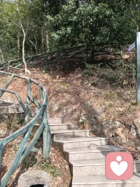 我记得许多遥远细微的事。

幼儿园小女孩的故事，小学转学生的害羞，初中室友深夜的倾诉，高中走廊里一闪而过的侧脸，大学时火锅宴的温暖，初出社会的叮嘱.

有人说，记得太多是背负。但我渐渐发现——

我记得的，都是生命曾给予我的微小光亮。

这些瞬间像散落的星，当我回望时，它们便连成一片温柔的夜空，
让我知道自己从不是孤身前行。

记得，不是活在过去。

是把那些温暖过我的光，收好，变成自己往前走时的灯。

在容易遗忘的世界里，我选择温柔地记得。

这让我成为我。配图