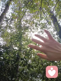 我记得许多遥远细微的事。

幼儿园小女孩的故事，小学转学生的害羞，初中室友深夜的倾诉，高中走廊里一闪而过的侧脸，大学时火锅宴的温暖，初出社会的叮嘱.

有人说，记得太多是背负。但我渐渐发现——

我记得的，都是生命曾给予我的微小光亮。

这些瞬间像散落的星，当我回望时，它们便连成一片温柔的夜空，
让我知道自己从不是孤身前行。

记得，不是活在过去。

是把那些温暖过我的光，收好，变成自己往前走时的灯。

在容易遗忘的世界里，我选择温柔地记得。

这让我成为我。配图