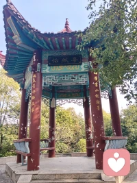 我记得许多遥远细微的事。

幼儿园小女孩的故事，小学转学生的害羞，初中室友深夜的倾诉，高中走廊里一闪而过的侧脸，大学时火锅宴的温暖，初出社会的叮嘱.

有人说，记得太多是背负。但我渐渐发现——

我记得的，都是生命曾给予我的微小光亮。

这些瞬间像散落的星，当我回望时，它们便连成一片温柔的夜空，
让我知道自己从不是孤身前行。

记得，不是活在过去。

是把那些温暖过我的光，收好，变成自己往前走时的灯。

在容易遗忘的世界里，我选择温柔地记得。

这让我成为我。配图