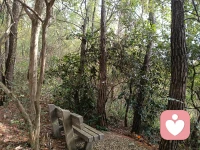 我记得许多遥远细微的事。

幼儿园小女孩的故事，小学转学生的害羞，初中室友深夜的倾诉，高中走廊里一闪而过的侧脸，大学时火锅宴的温暖，初出社会的叮嘱.

有人说，记得太多是背负。但我渐渐发现——

我记得的，都是生命曾给予我的微小光亮。

这些瞬间像散落的星，当我回望时，它们便连成一片温柔的夜空，
让我知道自己从不是孤身前行。

记得，不是活在过去。

是把那些温暖过我的光，收好，变成自己往前走时的灯。

在容易遗忘的世界里，我选择温柔地记得。

这让我成为我。配图