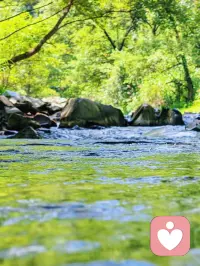 万物一体，一体同悲
在本质上，我们都是同一片大海里的浪花，
互相碰撞，然后分离，
于是，你中有我，我中有你。配图