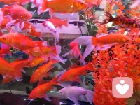 与其在他人的世界里踮脚求圆满，
不如在自己的天地里种自由。
当你的内心如江海般辽阔，
所有的烦恼纠葛不过沧海一粟。