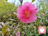 不以爱之名雕琢他人，不以情之网囚禁自己。
至此方见，爱是内心的自然流露。
每一次真诚的给予，都是一场自我的圆满。配图