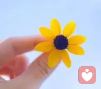 别急着奔向终点。
你只需要走在对的路上，
并且，保持自己的节奏。
总会有人看见篱笆上探出的那枝花，
然后轻轻敲门。