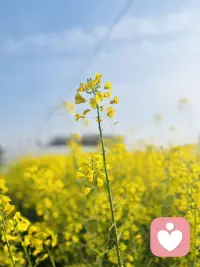 成长是需要时间来完成的，有时青少年会变得不耐烦，他可能希望一夜之间长大。配图