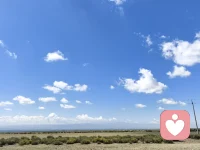 昨晚梦到捡了金子，给自己释梦。金子代表价值，收获和发光体，而我梦见捡到金子，说明心里希望被来访认可，结合昨天，每一个来访都给了我肯定，因此我的价值也得到了认可，这让我收获了认可的喜悦，这份喜悦如同梦里捡到金子一样让我高兴。配图