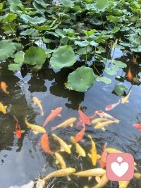 允许自己有情绪，允许自己暂时走不快，你的所有感受，都有被接纳的权利。配图