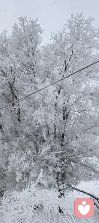 下雪了🌧️配图