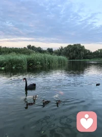 越是难以启齿的心事，越需要一个安全、不被评判的空间。不急着定义对错，先看见情绪背后的渴望与不安。我在这里，安静倾听，稳稳接住你的每一份真实。