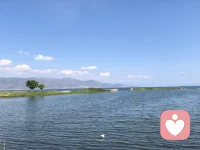 没情绪，没想法，没期待，给心情按个暂停键。配图