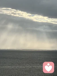 风起听风，雨来赏雨，心定即是归处。配图