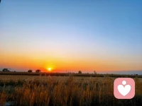 时光有限，尽力筛选出自己喜欢的人和物与之相处。
他们能让你心情愉悦！
时光有限，把美好又有限的时光消耗在困惑，迷茫，内耗，生气，焦虑上真的很可惜！配图