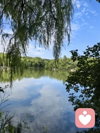 不打扰，不追问，只愿你安好，若想倾诉，我始终都在。配图