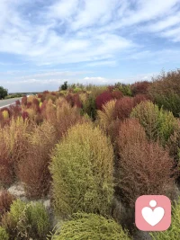 学会做有边界的倾听者，不再因过度共情内耗，守住分寸，既是保护自己，也是对他人的负责。配图