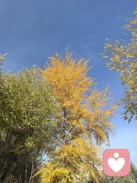 冥冥之中，自有天意，不问因果，只安于当下。配图