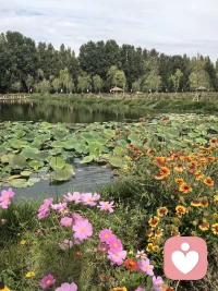 动力重塑中配图