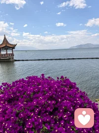 我们总活在首鼠两端的爱恨情绪里，希望自己变得和别人不一样，但又特别怕被人贴上标签，我们希望投入一个奋不顾身的爱情里，但是我们又怕这个爱情给我们带来持久的伤害配图