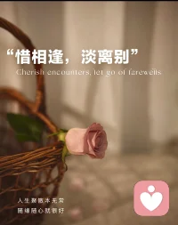 林徽因：最好的爱，是不主动也不拒绝，给自己一份尊严，也给对方一份尊重，理性的去爱一个人，适可而止的纠缠，浓淡相宜的往来，不远不近的距离，情出自愿，事过无悔，不谈亏欠，也不负遇见。