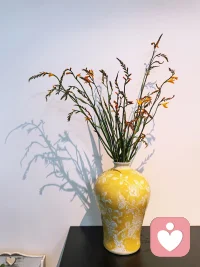 花自向阳开，人终向前走。 
每一个温暖的瞬间， 都是为自己点燃的烟火。
我们都是普通人， 只要自己喜欢，可以是任何。