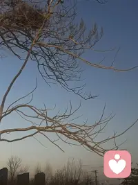 其实很多感情里的委屈，不是说不出来，是怕说出来被说“矫情”。你不用逼自己大度，也不用强迫自己原谅，找个地方把积压的情绪倒出来，就会轻松很多。