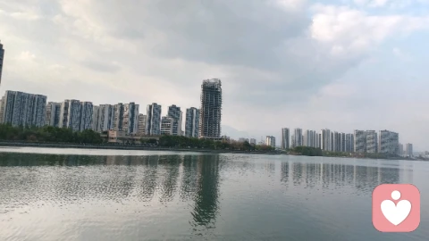 温柔独自支撑，亦是最好的港湾