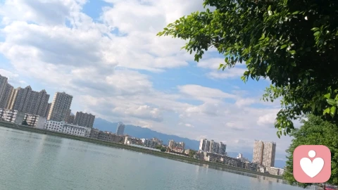 于感情挫折中自愈，在遗憾里慢慢成长