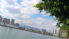 于感情挫折中自愈，在遗憾里慢慢成长