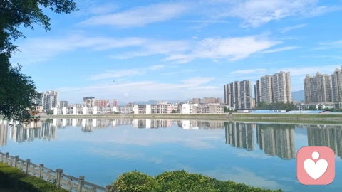 婚姻的幻灭与和解：从一地鸡毛到岁月静好