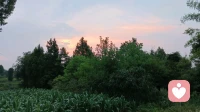 那些拒绝沟通、淡化矛盾的人：沉默，是他们最后的自我保护
