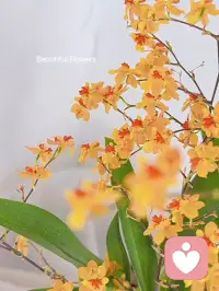 阅己，悦己，越己，我被高山围绕，山水自然为我祈祷，别听世俗的耳语，去看自己喜欢的风景
早安😘