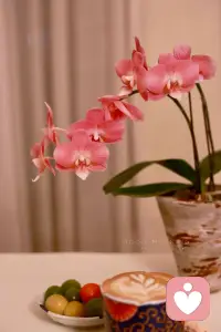 生活细碎，小美好常在

慢慢来，没关系的。
你不用一直坚强，也不用立刻变好。
允许自己偶尔疲惫，允许生活有不完美，允许一切发生。
风会停，雨会歇，那些难熬的时刻，终会变成温柔的光，照亮你前行的路。
你已经很努力了，再给自己一点时间，一切都会慢慢好起来的。✨