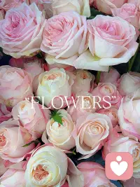 🌞
生活给予什么，就享受什么，拿走什么
就放下什么。每一次的践行
都在累积真正的自由🪭