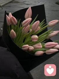 🌞
生活给予什么，就享受什么，拿走什么
就放下什么。每一次的践行
都在累积真正的自由🪭