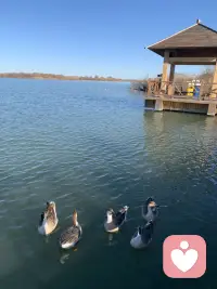 ==== 分享精华 ====
1.关系大于教育/沟通，有关系就没关系，没关系就有关系

2.内在有钻石，外在才有光芒

3.感觉好才能做得好！

4.欣赏自己，欣赏她们，这个世界就会变得祥和美丽

5.潜意识是意识力量的三万倍。倾听是基础，没有倾听，就没有欣赏。随喜赞叹的欣赏。随孩子的心，直达潜意识的欣赏配图