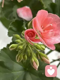 人生本不苦 苦的是索求太多 人心本不累 累的是永远不够 所谓过得不好 是过着眼前的生活 却不接受 消耗其中 所谓过得好 是爱上了自己眼前的生活 享受其中配图