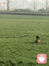 从小处于情绪大脑里的人
​她的逻辑大脑是处于锻炼很少 空 脑雾 浆糊
​长期处于恐惧中，长大就变得情绪脑
​【原来，当孩子做一件小事没做好，父母责备，拿走，批评，指责，孩子脑袋处于恐惧中，而这样的大脑是处于情绪脑中，长期被情绪遥控，也就变得爱哭闹，闹脾气，发脾气，情绪不稳定，每天大脑空空，就不会发育理智脑，而理智脑是发育智力，提升认知，逻辑思维最重要的大脑部分。】
​【难怪，每天浑浑噩噩，不知道应该做什么，该干什么，而这些急躁的情绪，带给孩子的也只是在激发她的情绪脑】配图